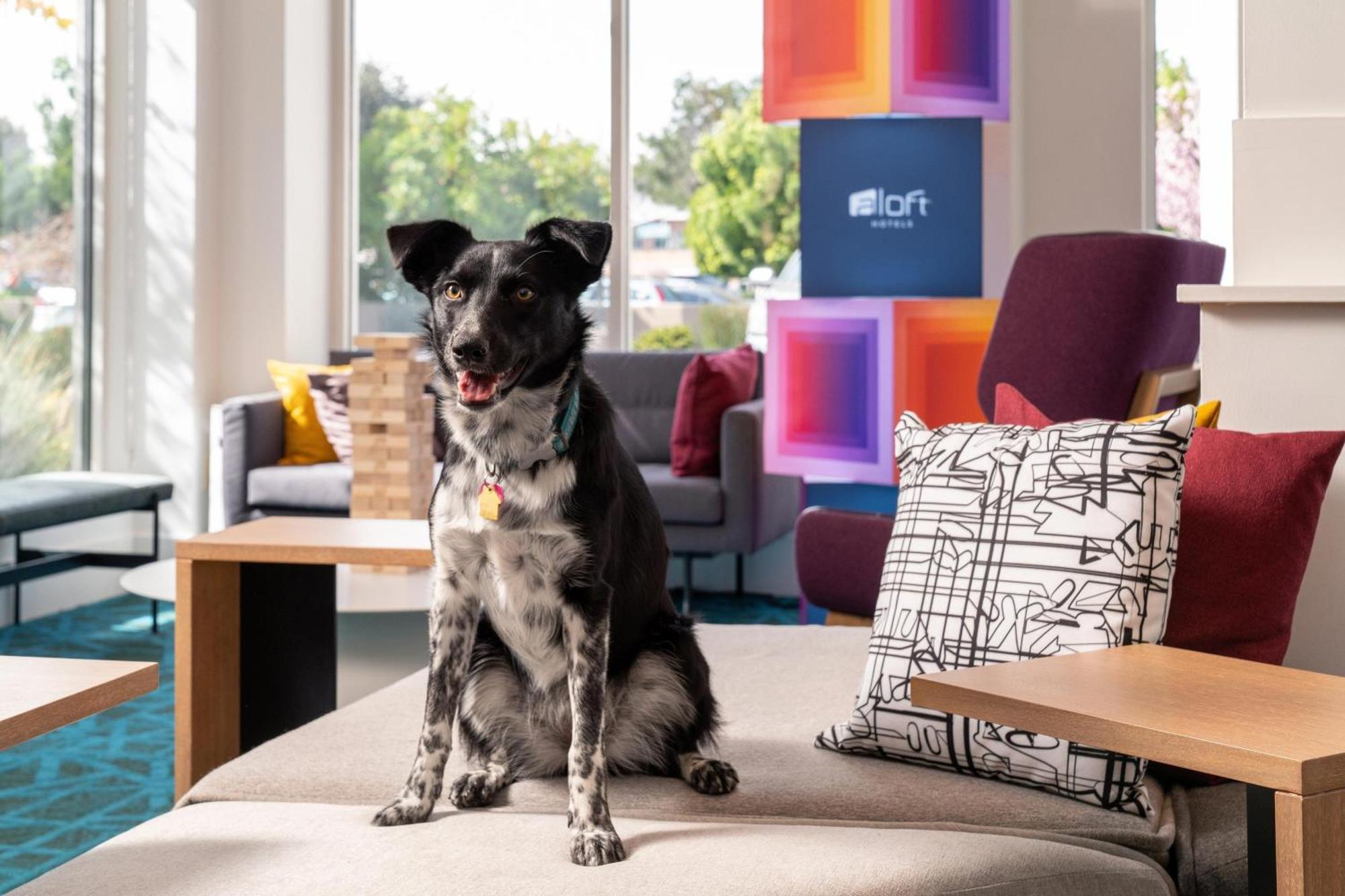 Aloft Mountain View Hotell Eksteriør bilde